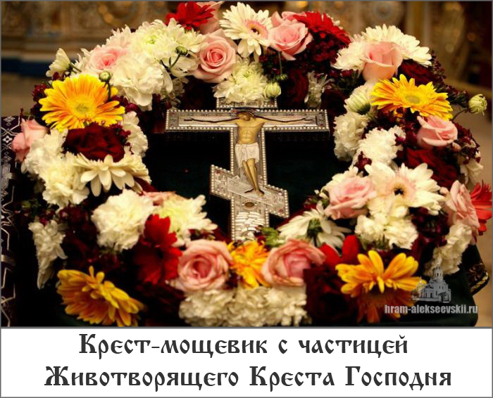 Без имени-1